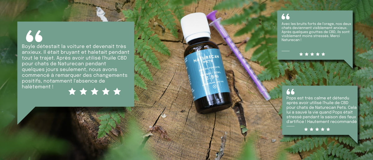 Product shot of CBD oil for cats on a log with 5 star reviews around it