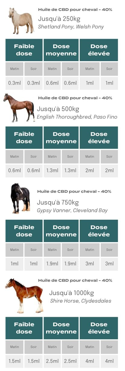 Dosage CBD pour les chevaux