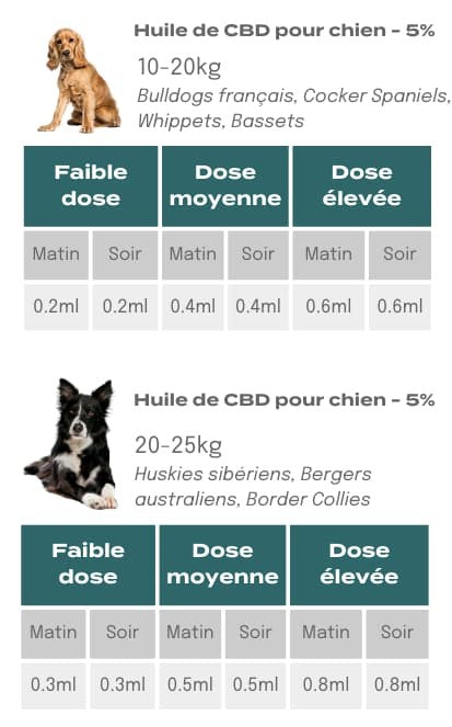 Dosage CBD pour les chiens moyens