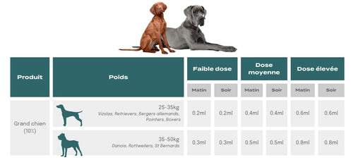 Dosage CBD chien entre 25 et 50 kgs