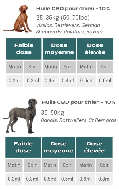 Dosage CBD animaux