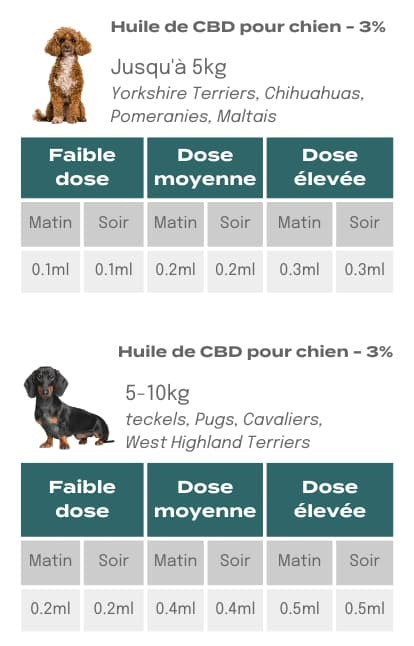 Dosage CBD pour les petits chiens