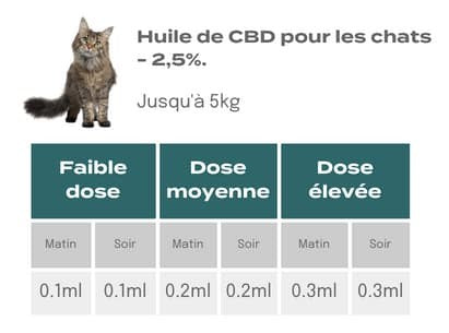 Dosage CBD pour les chats
