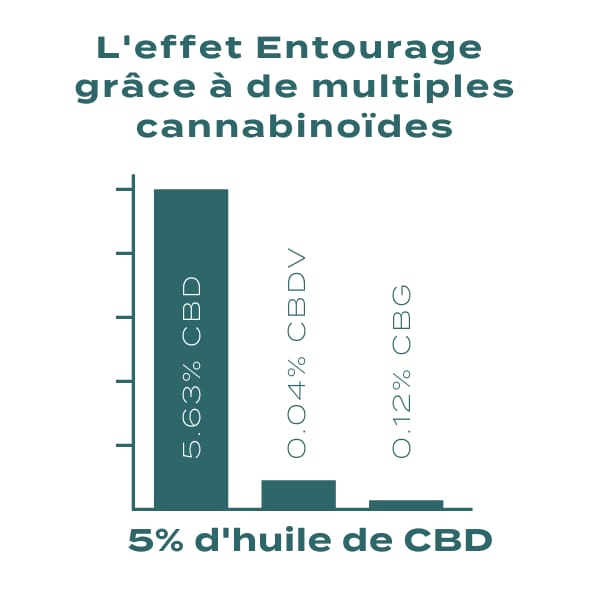 Effet d'entourage