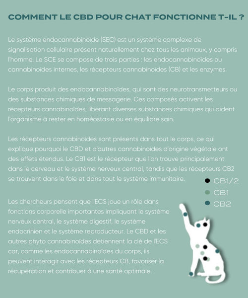 CBD pour chat  Naturecan France