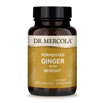 Dr Mercola - Fermented Ginger 60 caps