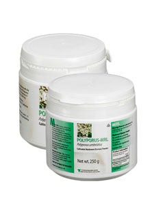 Mycology Research Labs - Polyporus-MRL 250 gms