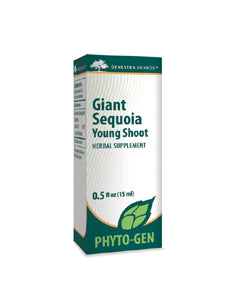 Genestra - Giant Sequoia Young Shoot 0.5 fl oz