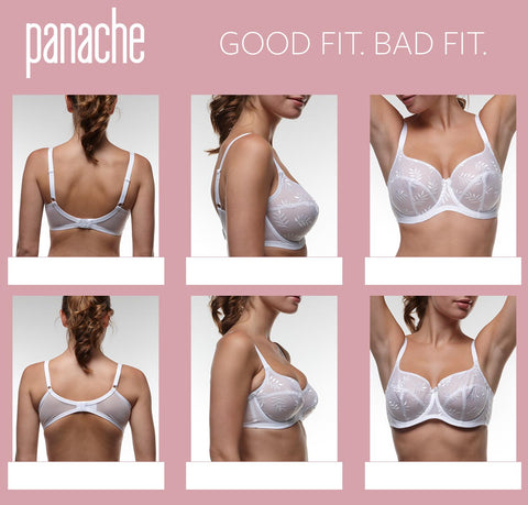 Specialist Bra Fitting Service – Carino Lingerie