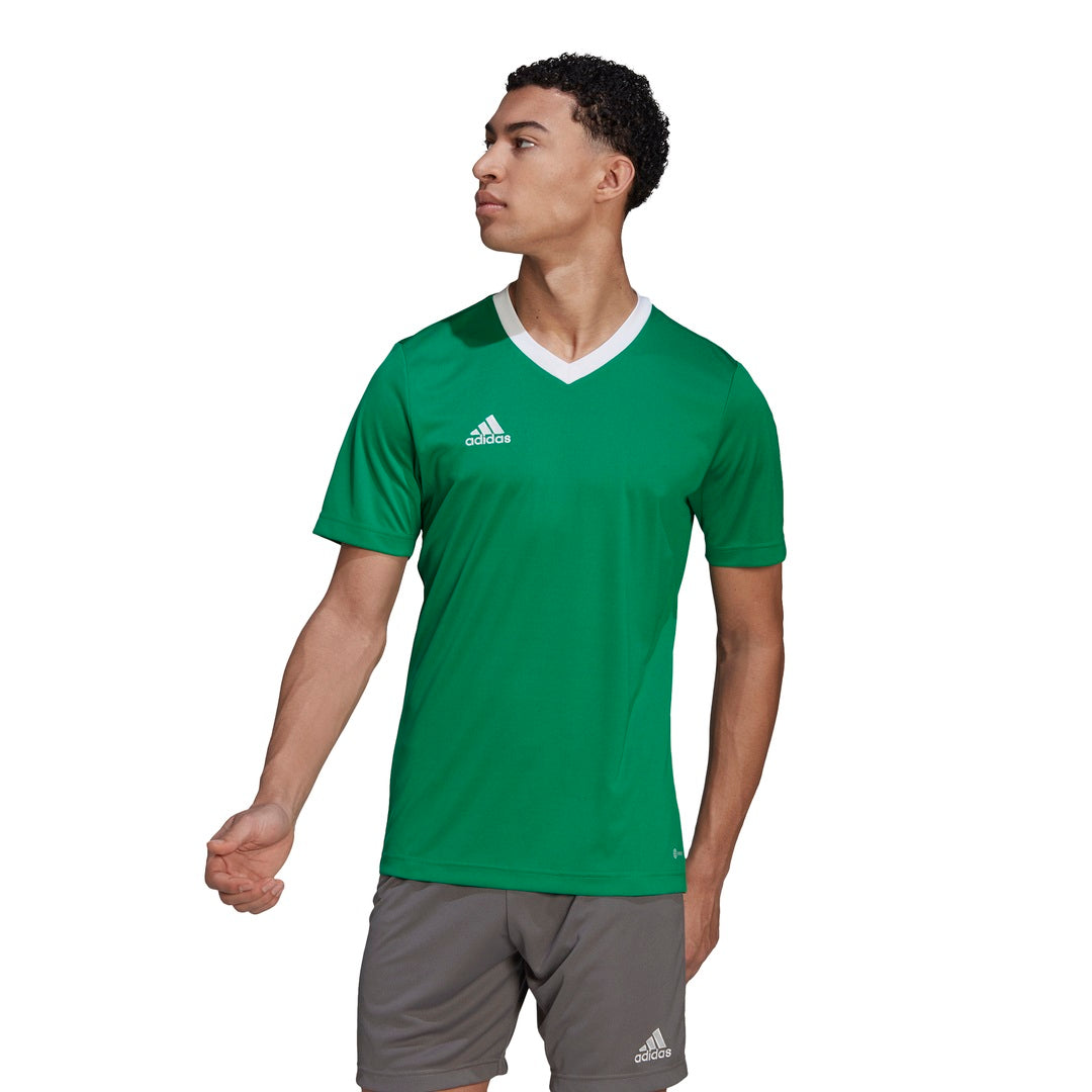 Camiseta de fútbol Hombre Adidas Entrada Manga Corta Color Verde – depor8