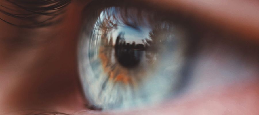 closeup of blue gray human eye seen from the side