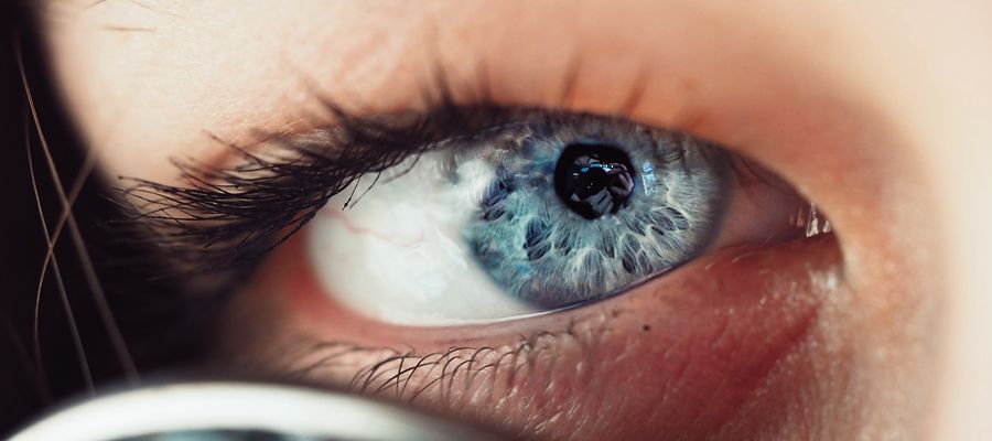 blue iris in the corner of the eye closeup photo