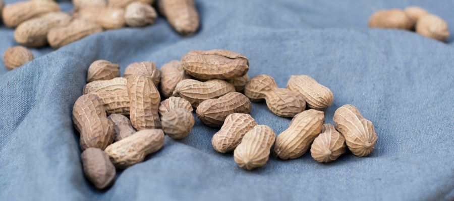 peanuts lying on blue cloth