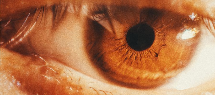 Primer plano del ojo humano, incluyendo pupila, cristalino, córnea, esclerótica y pestañas.