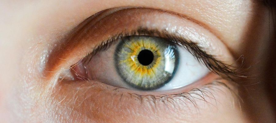 closeup of green female human eye