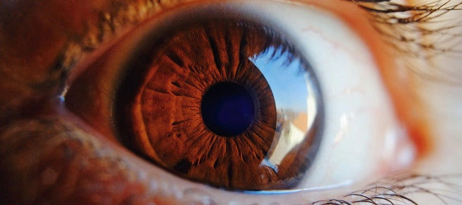 closeup of brown human eye seen from the side