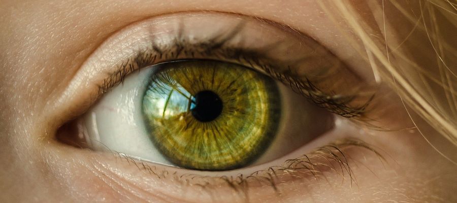 closeup of green human eye