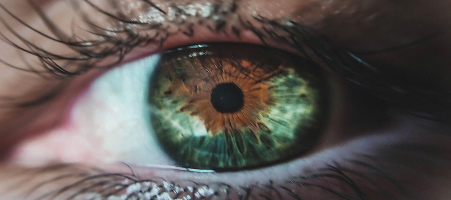 Primer plano de ojo humano verde con pestañas
