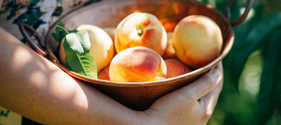 hand holding peaches in a bowl lighted by sunlight