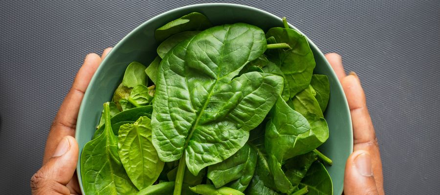 bowl with spinach leaves in man's hands