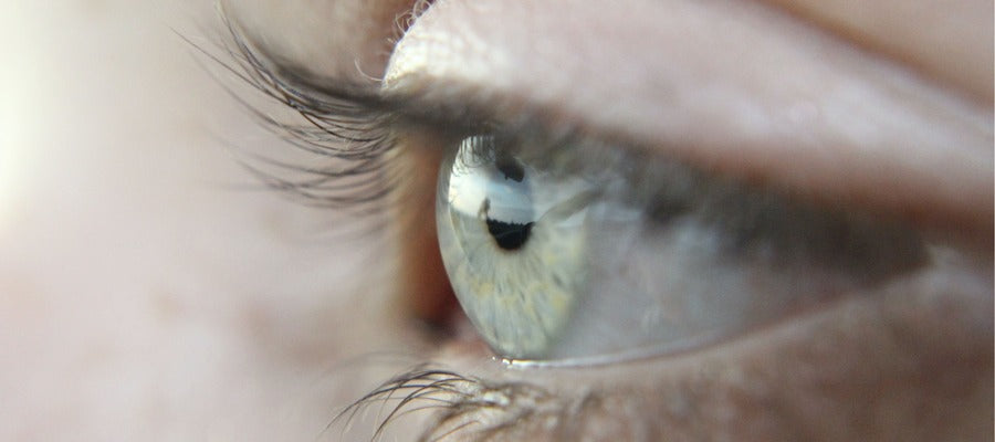 closeup of green human eye with long eyelashes