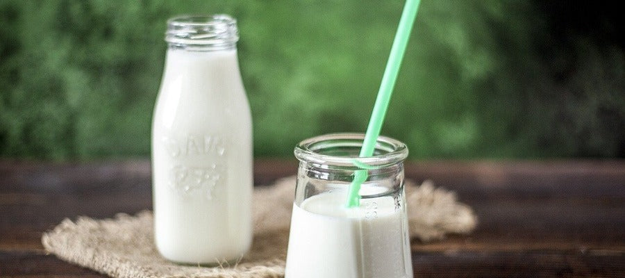 bottle of milk with milk glass in the foreground on table against blurry green background
