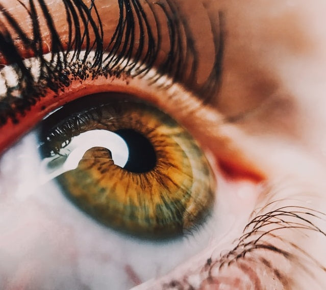 closeup of human eye with lashes looking up