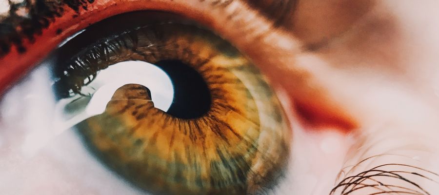 closeup of human iris and cornea