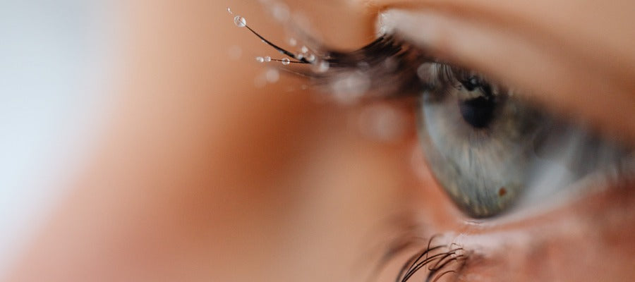 closeup of green human eye with tear drops clinging to eyelashes