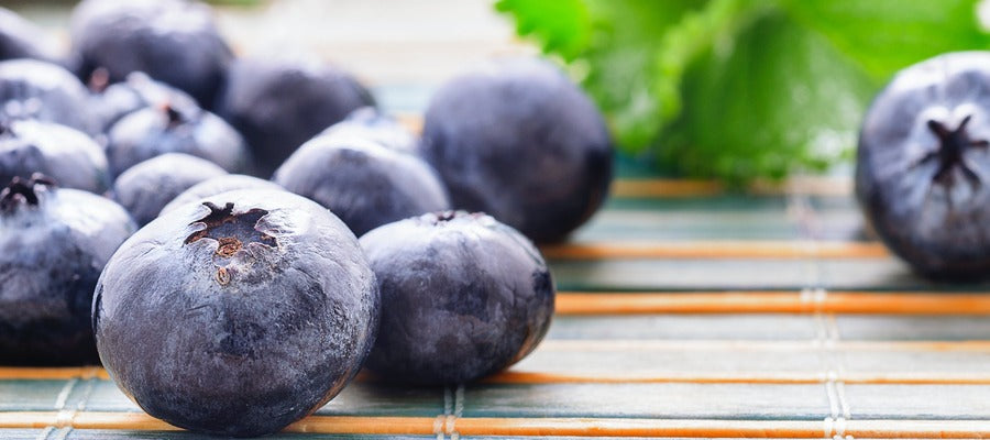 large blueberries in foreground with blurry green leaf in the background