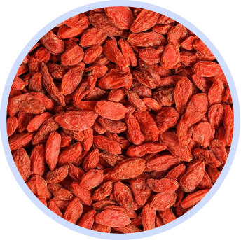 goji berries closeup from above