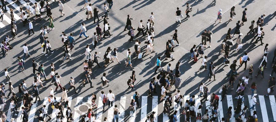 fotografía aérea de personas caminando