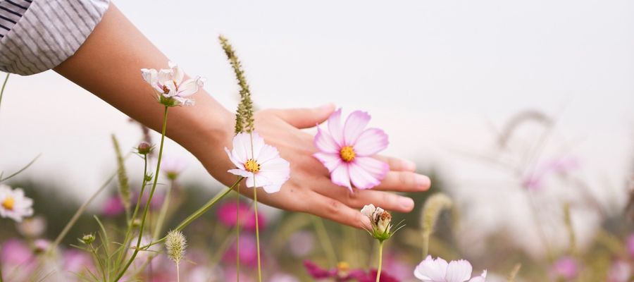 mano tocando flores