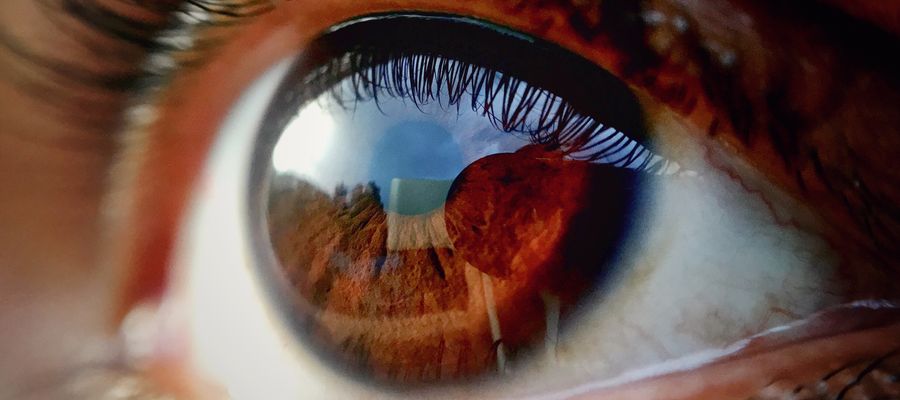 closeup of brown eye