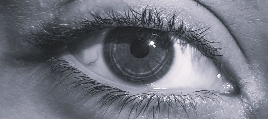closeup of human eye grayscale