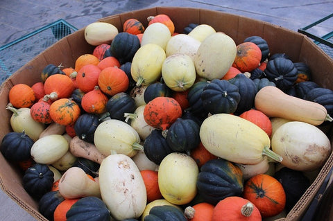 variedades de calabaza de invierno en un recipiente de cartón grande