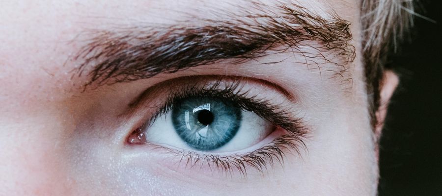 Primer plano del ojo y la ceja azul derecho masculino