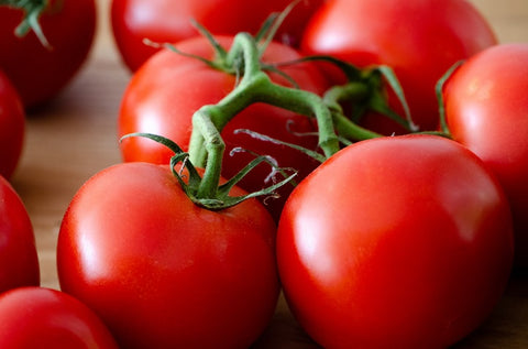 red tomatoes closeup