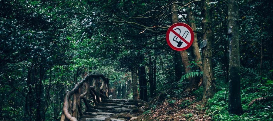 Señal de prohibido fumar colgada sobre el camino de la escalera boscosa verde