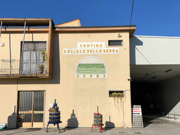 Cantina della Serra founded by Olivetti in Piverone near Ivrea Piemonte