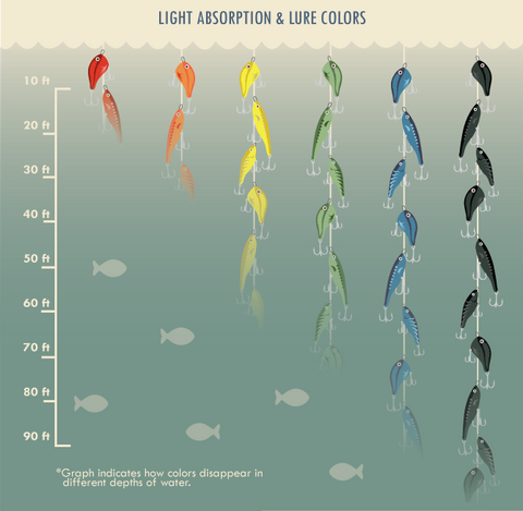 Bait Color Selection Guide: Does It Really Matter