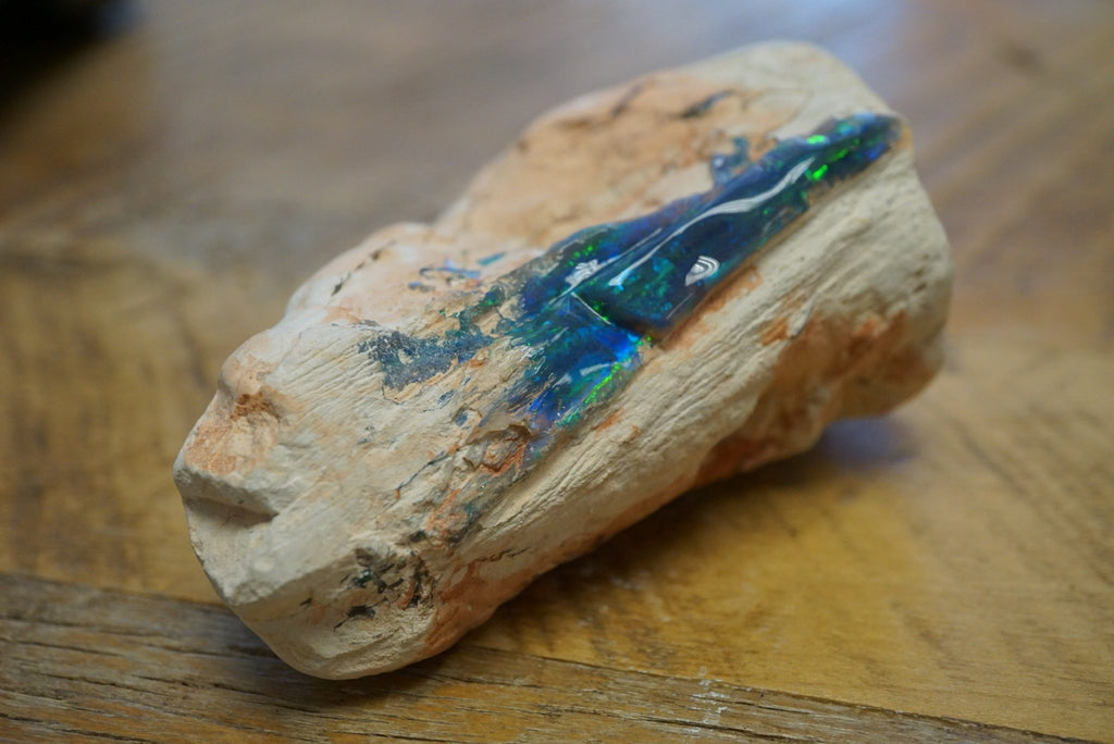 Anup Jogani opal in petrified wood
