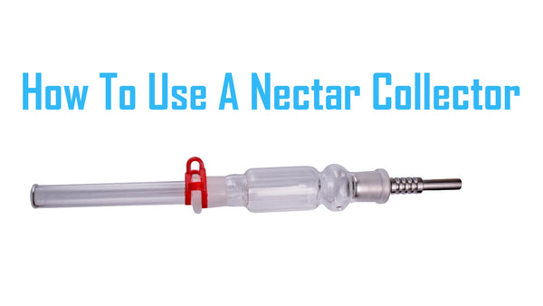 How to use a nectar collector