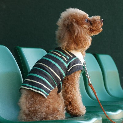 dog rugby jersey