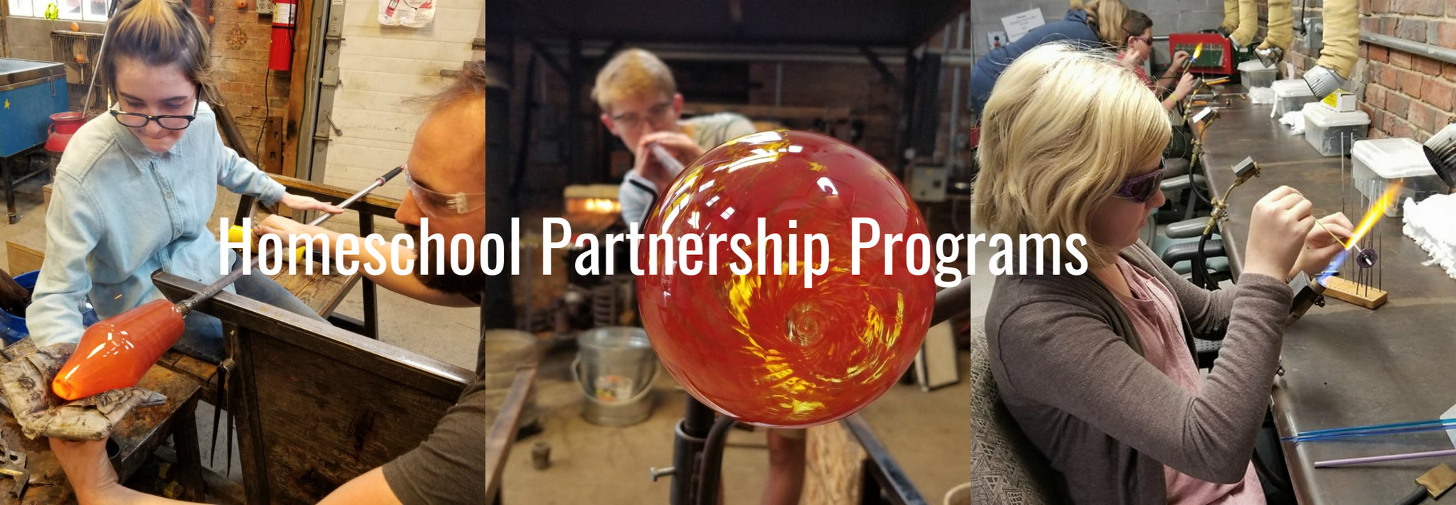 Homeschool Partnership Program