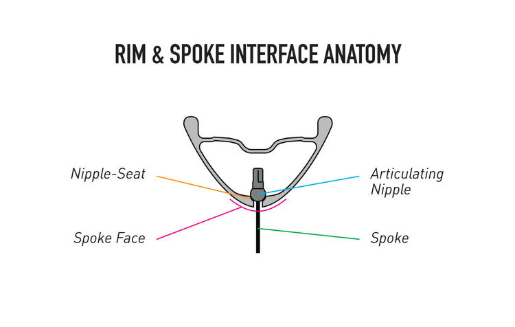 velo cartel diagram anatomie de la jante par rapport aux rayons