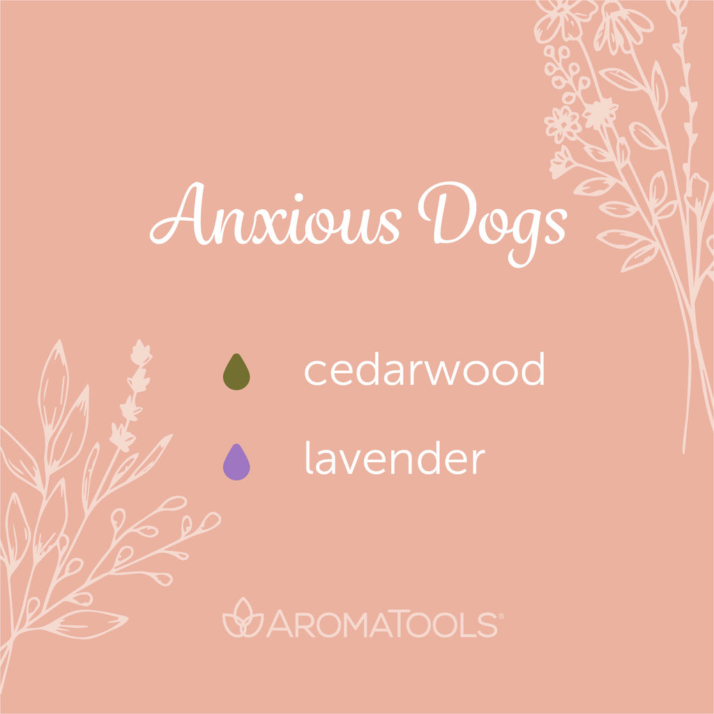 "Anxious Dogs" Diffuser Blend. Features cedarwood and lavender essential oils.