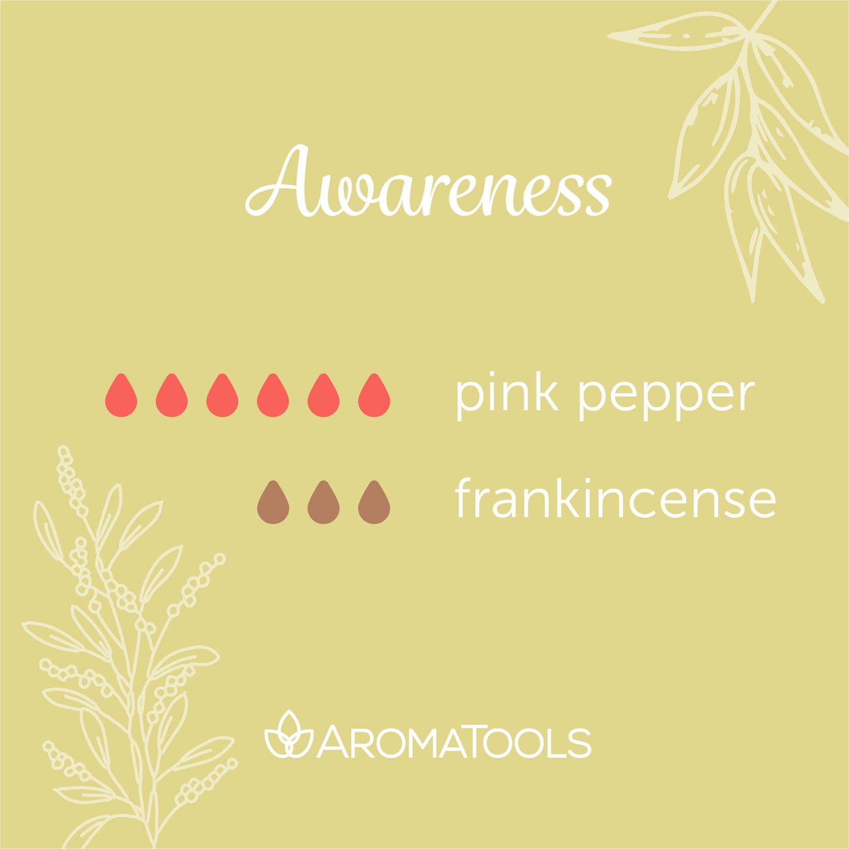 Gya Labs Pink Pepper Essential Oil for Skin - 100% Natural Pink Pepper  Essential Oil Diffuser & Aromatherapy - Pepper Oil for Face, DIY, Candles 