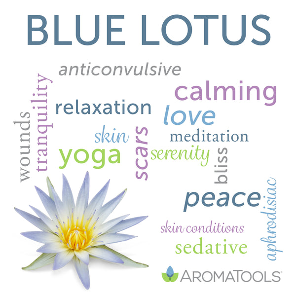 Blue lotus essential oil absolute common and other possible uses