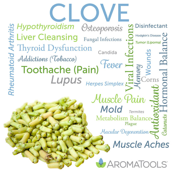 Clove essential oil common and other possible uses